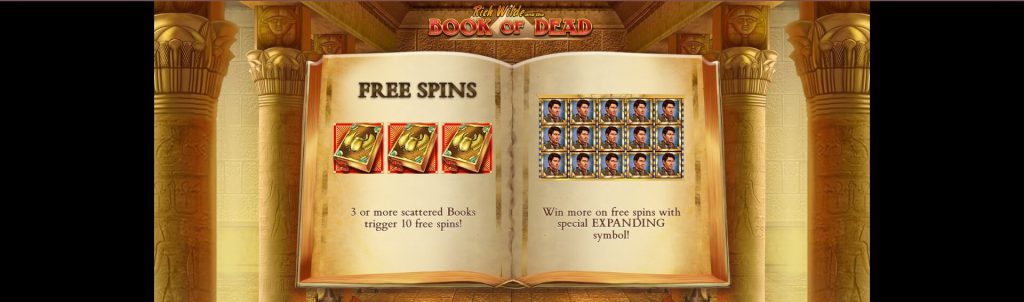 Online Casino in Nederland