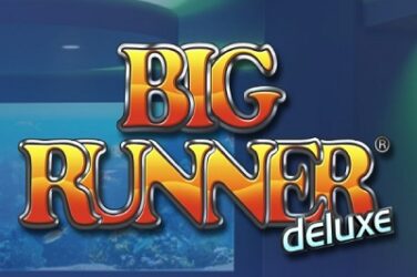 Big runner deluxe logo