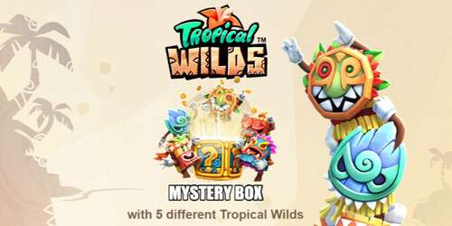 Tropical Wilds heeft vele features waaronder de mystery box