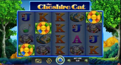 Als je 3 bonus symbolen krijgt op the cheshire cat slot, dan krijg je gratis spins