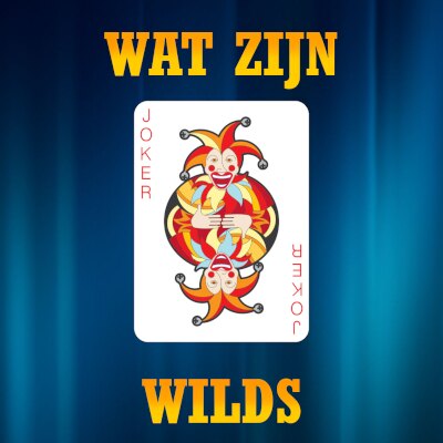 Wat zijn wild symbolen op casino slots