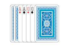 casino icoon voor header